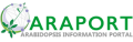 Araport-logo.png